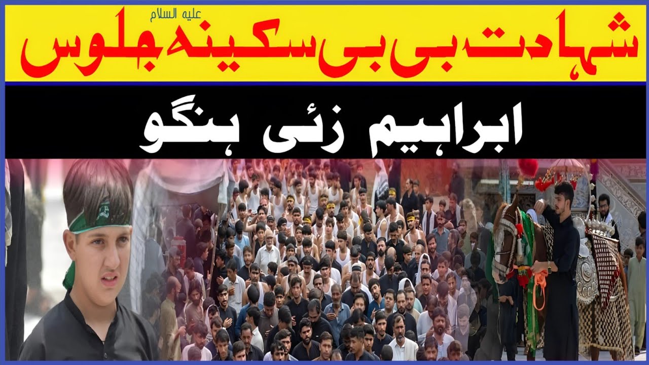 Ibrahimzai Jaloos Shahadat Bibi Sakina s.a | Hangu Matam | Hangu Jaloos 2024