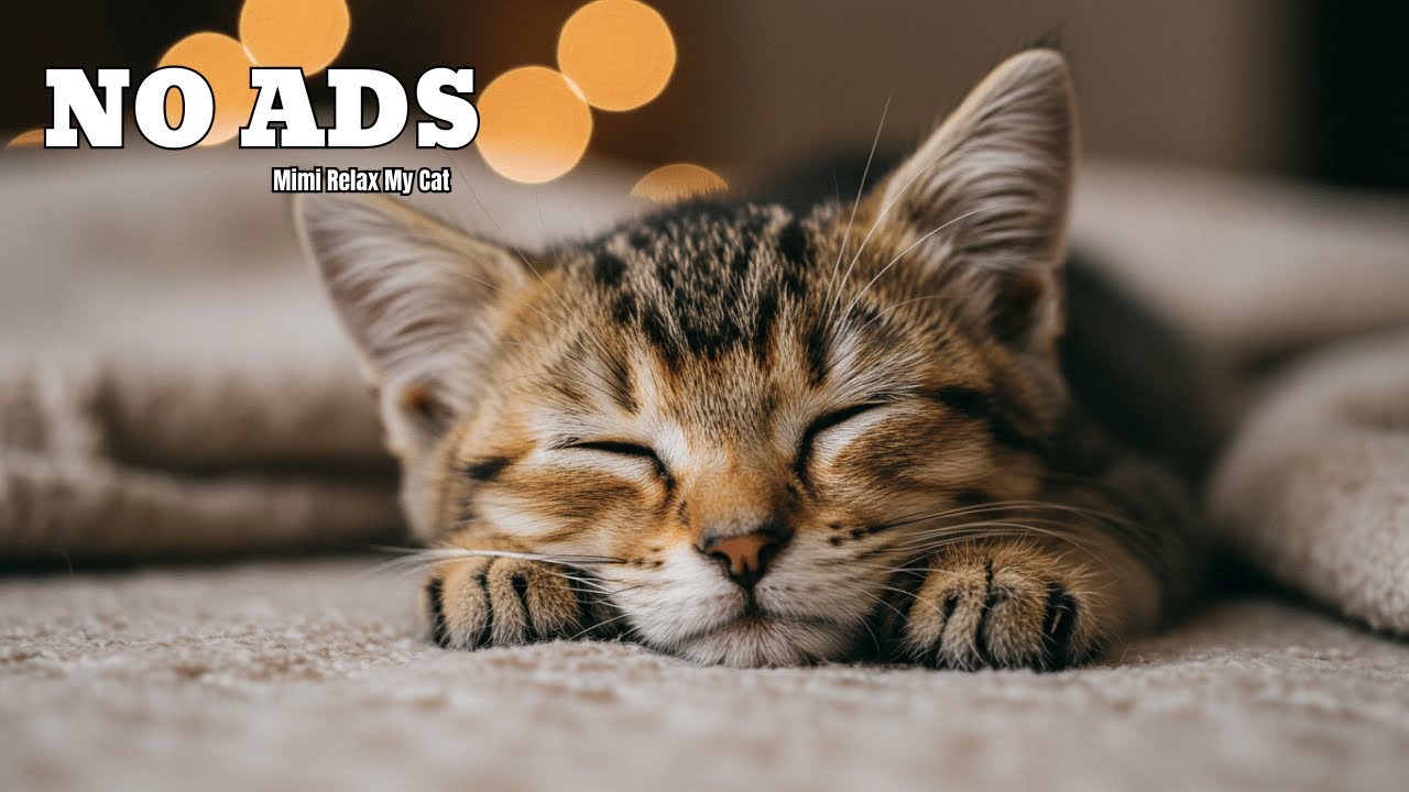 Low-Frequency Music for Cats - 6 HOURS of Deep Tones