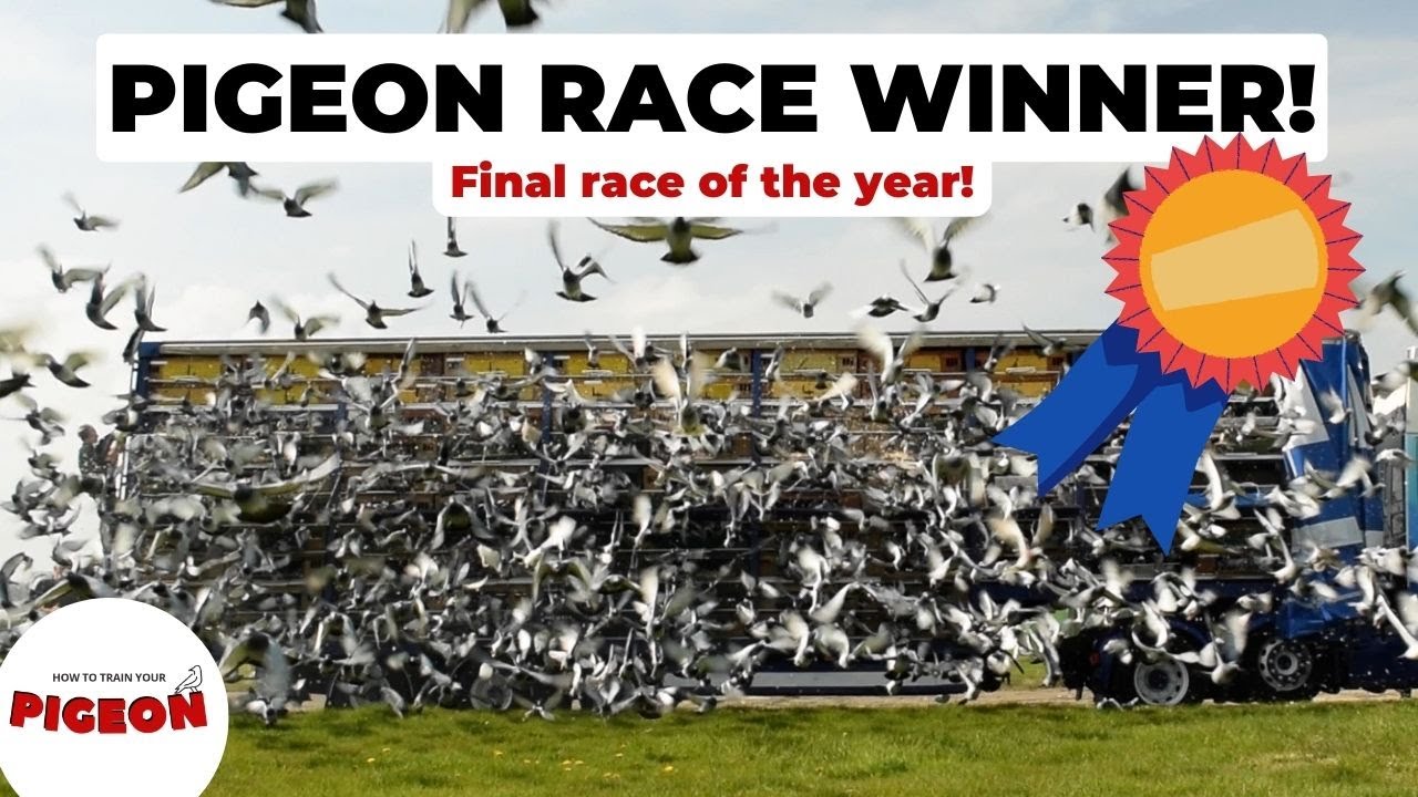 The Best Race I've Had | Ep51