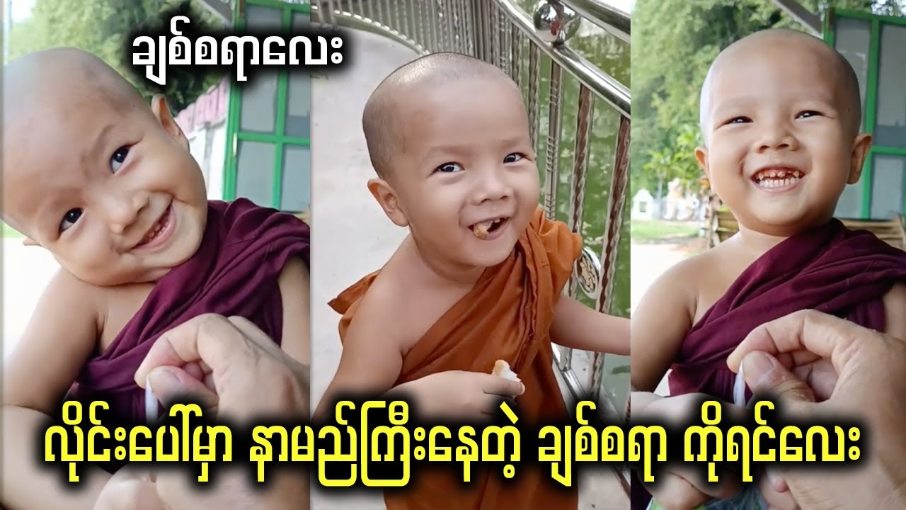 စကားတက်ပီး ချစ်စရာကောင်းတဲ့ ကိုရင်လေး