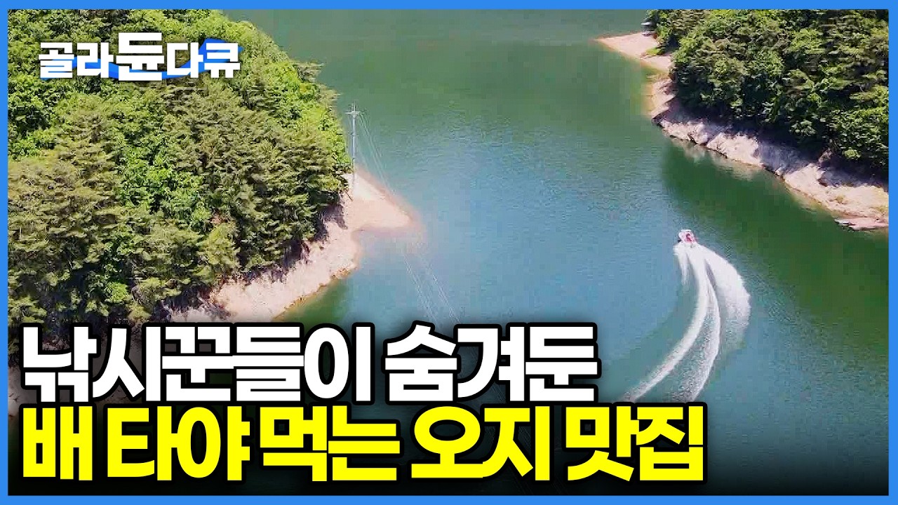 첩첩산중, 배 타고 들어가야 나오는 전국 최고 50년 맛집｜80대 노부부가 직접 캐고 기른 재료로만 상다리 부러지게 차려내는 100% 자연산 할매 밥상｜산나물 먹방｜#골라듄다큐