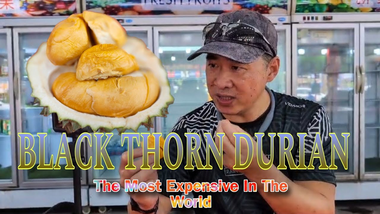 HUNTING FOR GOOD DURIAN IN JOHOR BAHARU🇲🇾