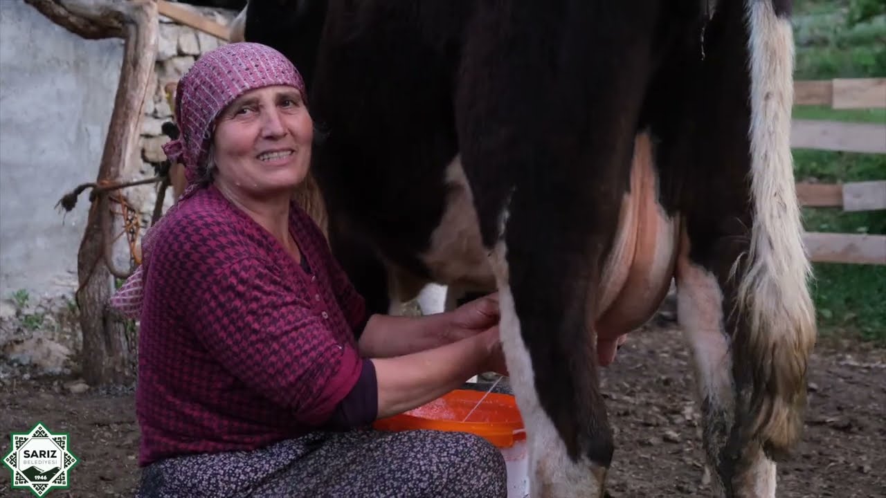 MAŞAT AYRANLIK