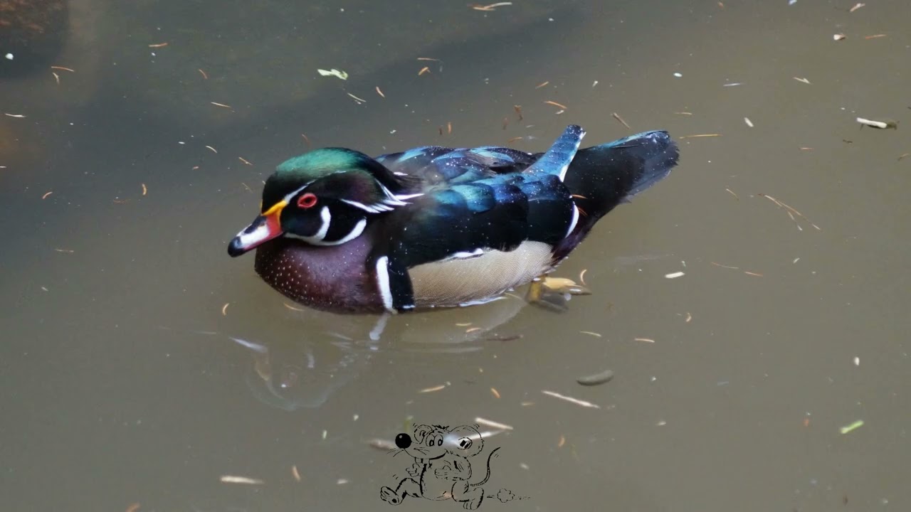 2024 - Hamburg - Wildpark Schwarze Berge
