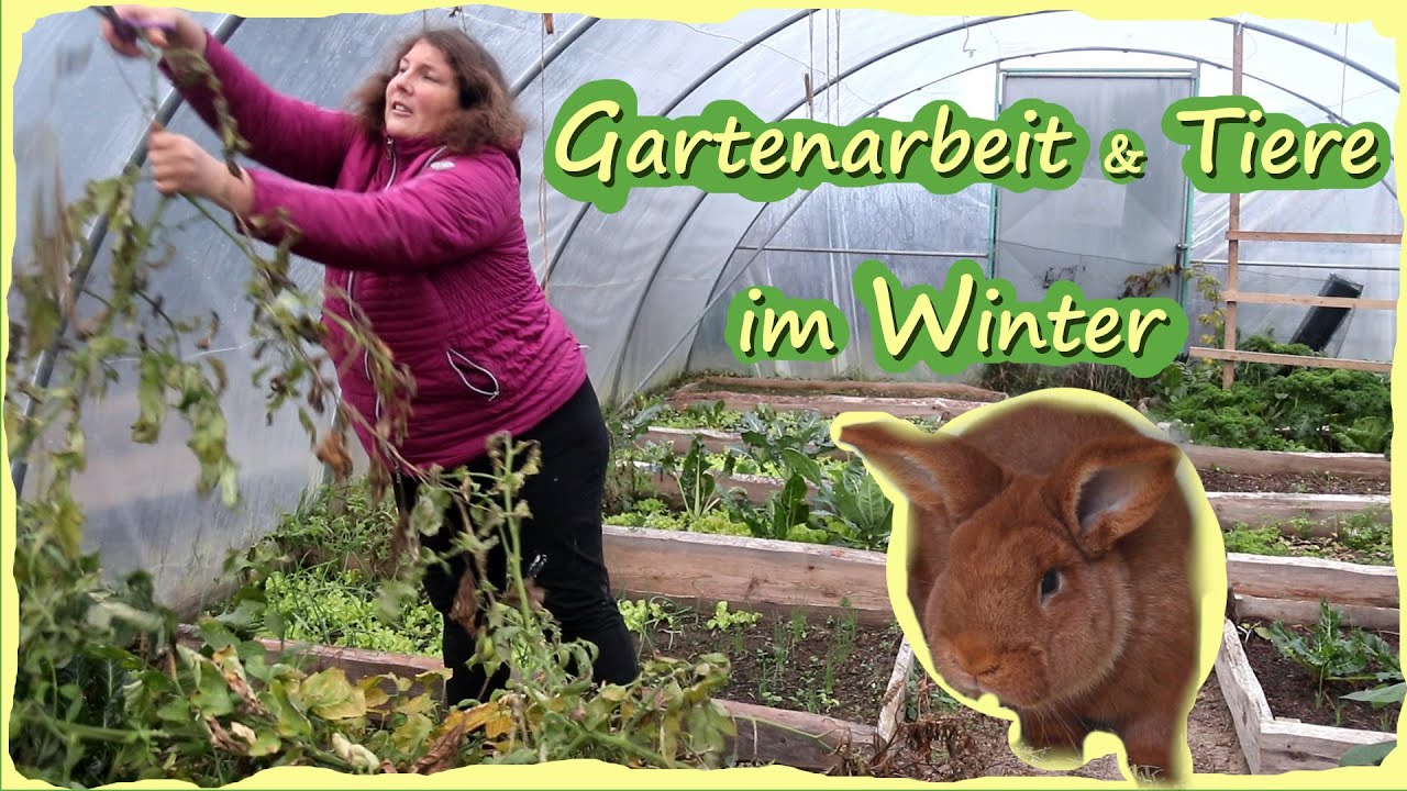 Gartenarbeit Dezember Tiere winterfest machen Hühner Enten Kaninchen