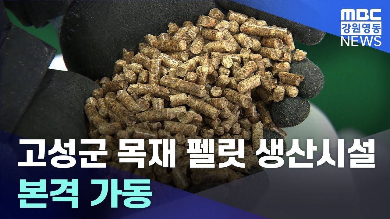 [뉴스리포트] 펠릿생산시설 본격 가동, 보일러 보급은 미흡 20230221