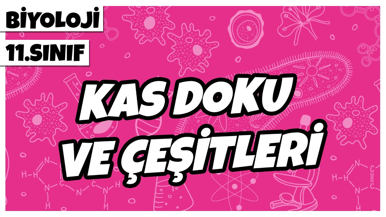 11. Sınıf Biyoloji - Kas Doku ve Çeşitleri | 2022