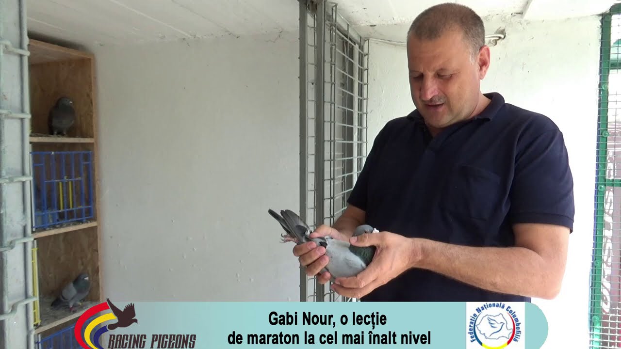 Gabi Nour, o lecție de maraton la cel mai înalt nivel