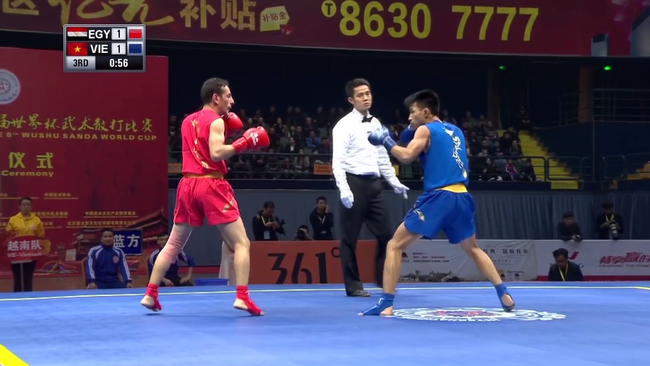 Sanshou Sanda 2016 World Cup Semi Finals Egypt vs Vietnam 48 Kg Men