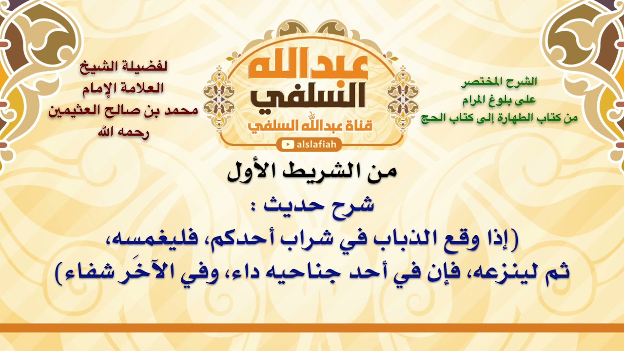 الشيخ ابن عثيمين : شرح حديث   إذا وقع الذباب في شراب أحدكم، فليغمسه، ثم لينزعه، فإن في أحد جناحي