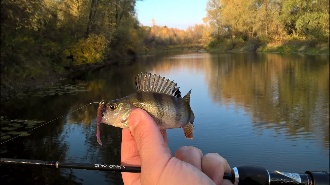 Силиконовая приманка Fishup Tiny 1,5