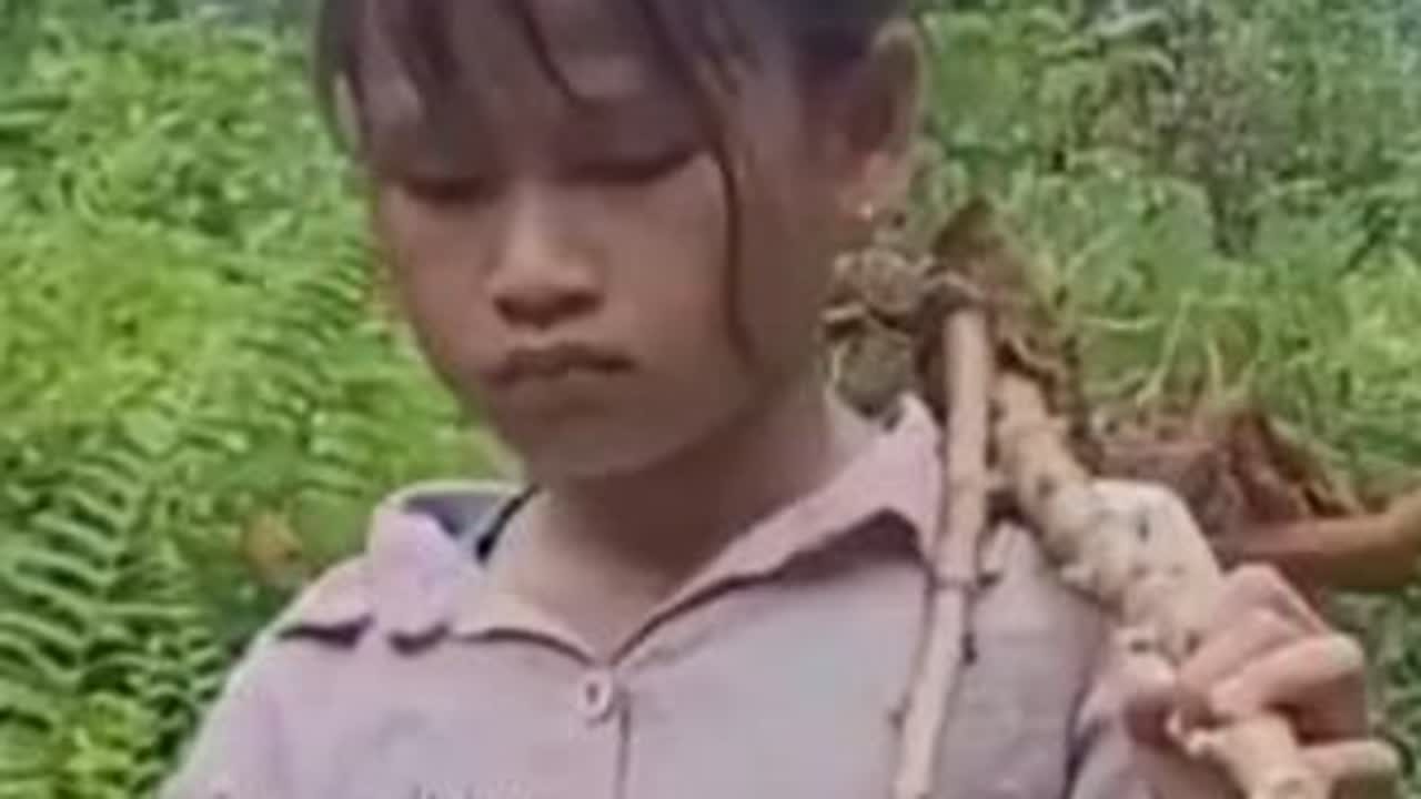 #纪录片 #纪录片解说