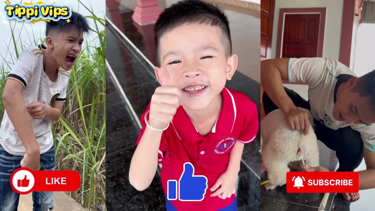 Tổng Hợp Các Video Hay Nhất Của Team Tippi Phần 36 | Tippi Vips #tippitv