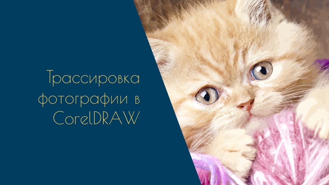 CorelDRAW Tutorial - трассировка фотографии. #coreldraw #coreldrawtutorial #трассировка #tracing