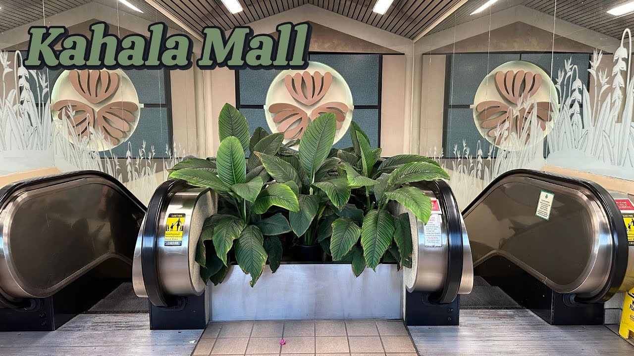 Honolulu Walking Tour: Kahala Mall &ndash; Iconic Carpet & Local Shops (April 2025)