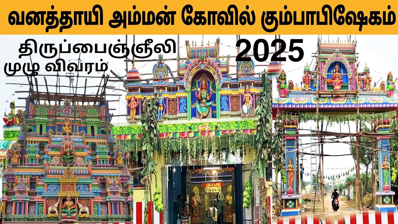 வனத்தாயி அம்மன் கோவில் கும்பாபிஷேகம் 2025 | vanathai Amman temple thirupanjali vanathai Amman temple