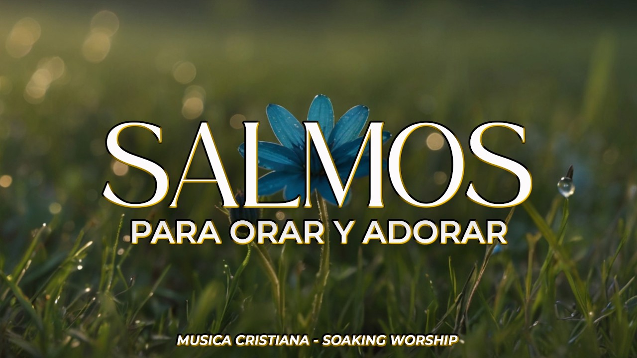 SALMOS CANTADOS del Rey DAVID 📖 | la BIBLIA se convierte en ORACIÓN 🙏 | Worship Songs – PRAYER 🎵