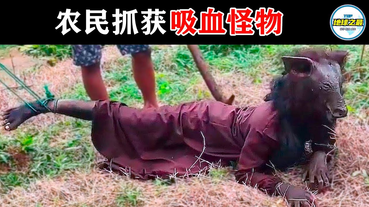 智利小镇农民抓到吸血怪物，洗净一看当场吓尿！15个农民们的惊人发现！丨地球之最#冷知识 #排名 #世界之最#地球之最#惊人发现#未知生物#神秘生物#宝藏#世界之最top#top10