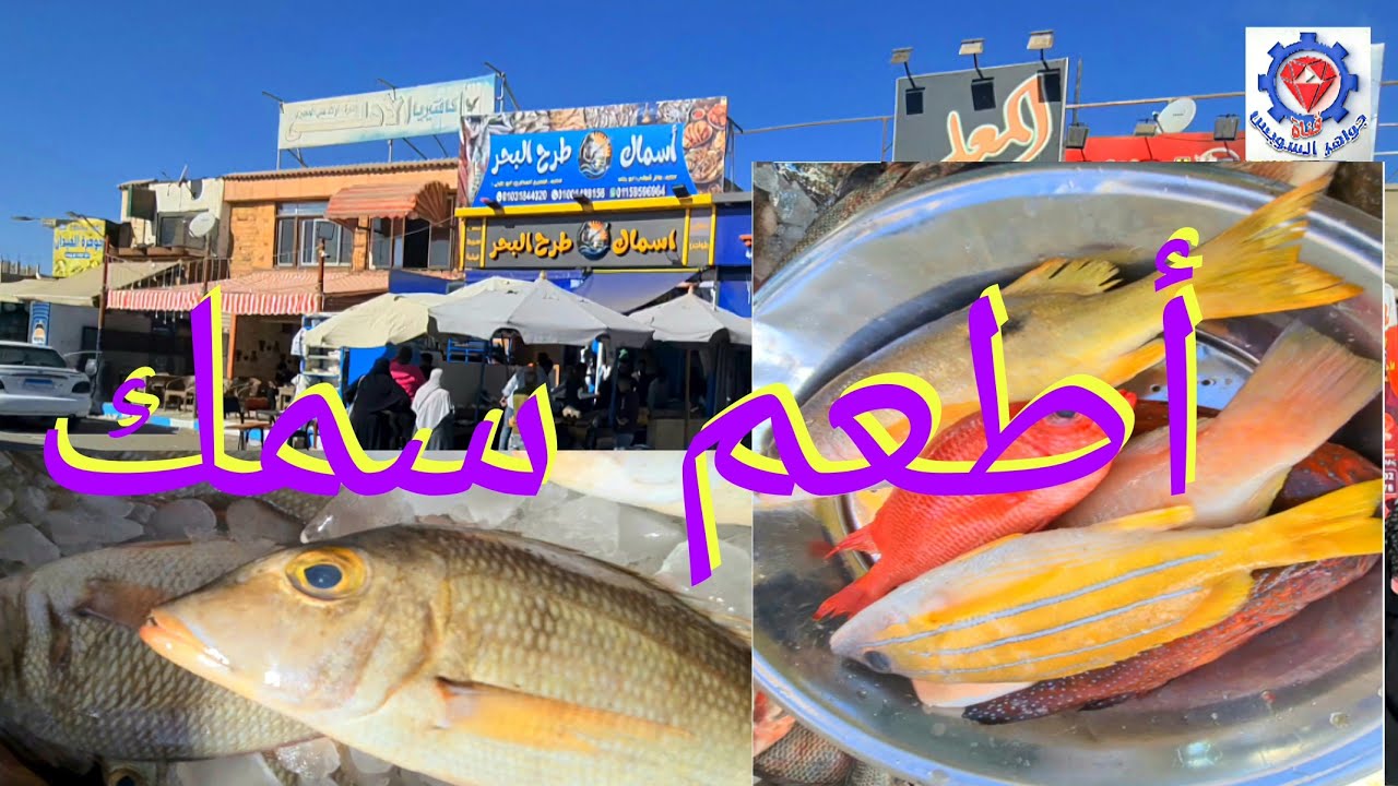 @ أفضل الأسماك الموجودة شعبي بمحل طرح البحر بالأربعين أمام موقف الصفا والسلام بالسويس. 