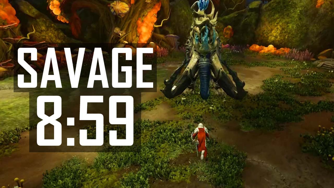 World Record FASTEST Savage Divide M3 8:59 (Tank POV) - New World