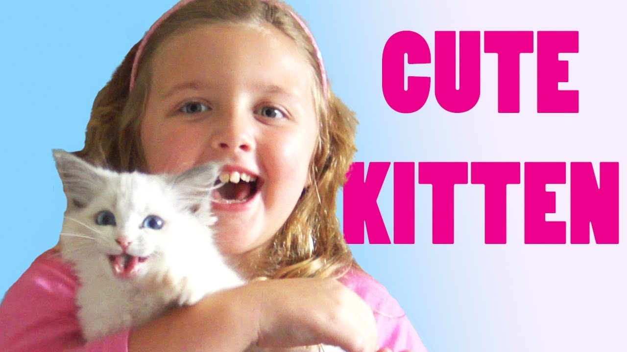 My Cute Cat Finally has name! Fun Family Three Ava Isla and Olivia Vlog
