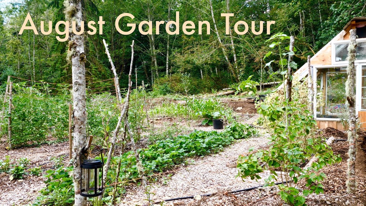 August Garden Tour! Calendula, Herbs, Tomatoes, Cabbage & more!