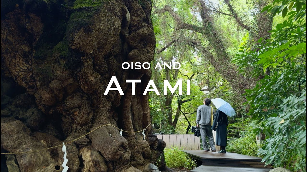 A Quiet Escape Near Tokyo 🌿 2 days in Oiso & Atami | Japan VLOG