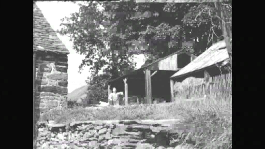 Pethe - Gwylliaid Cochion Mawddwy (1936)