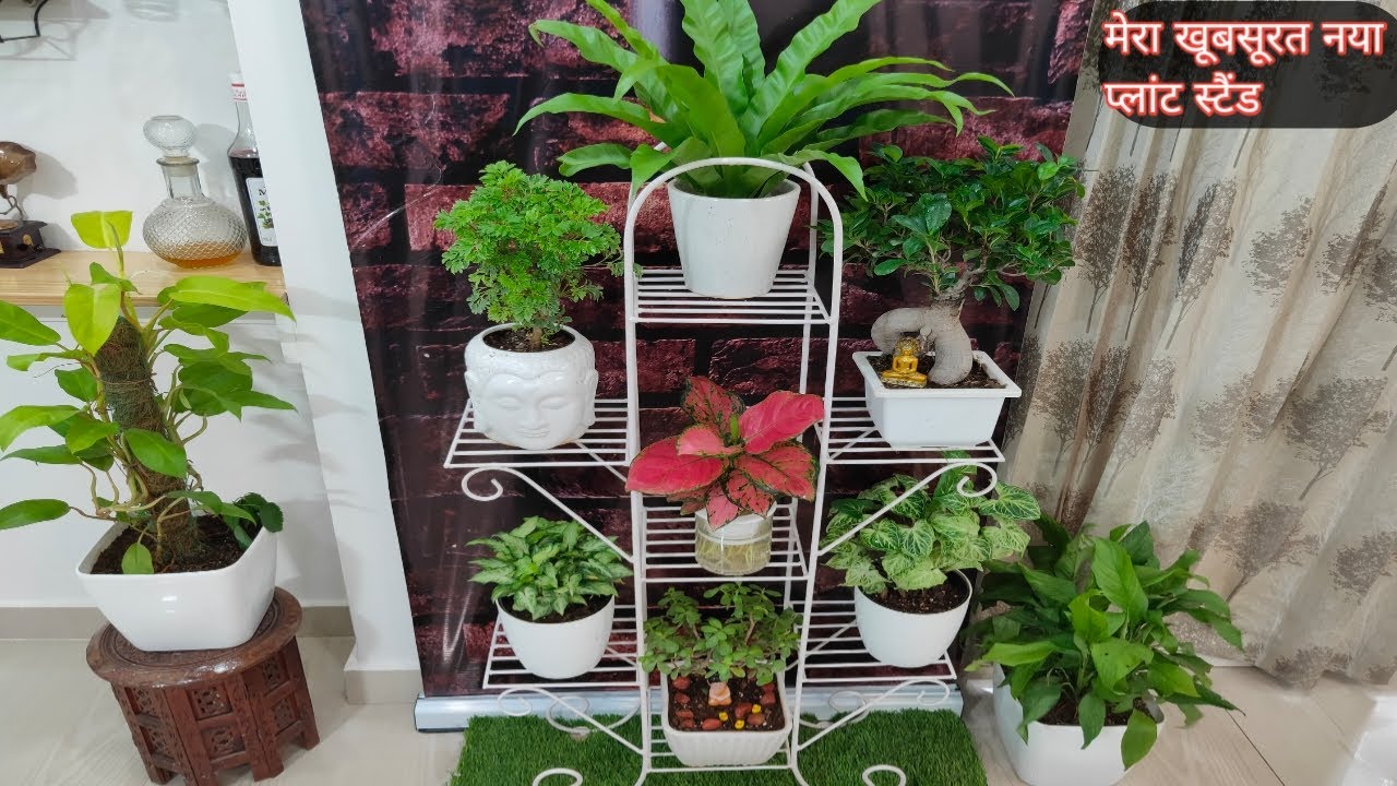 7 tier new plant stand | New plant stand | plant stand for balcony | paudhe ke liye stand | planter