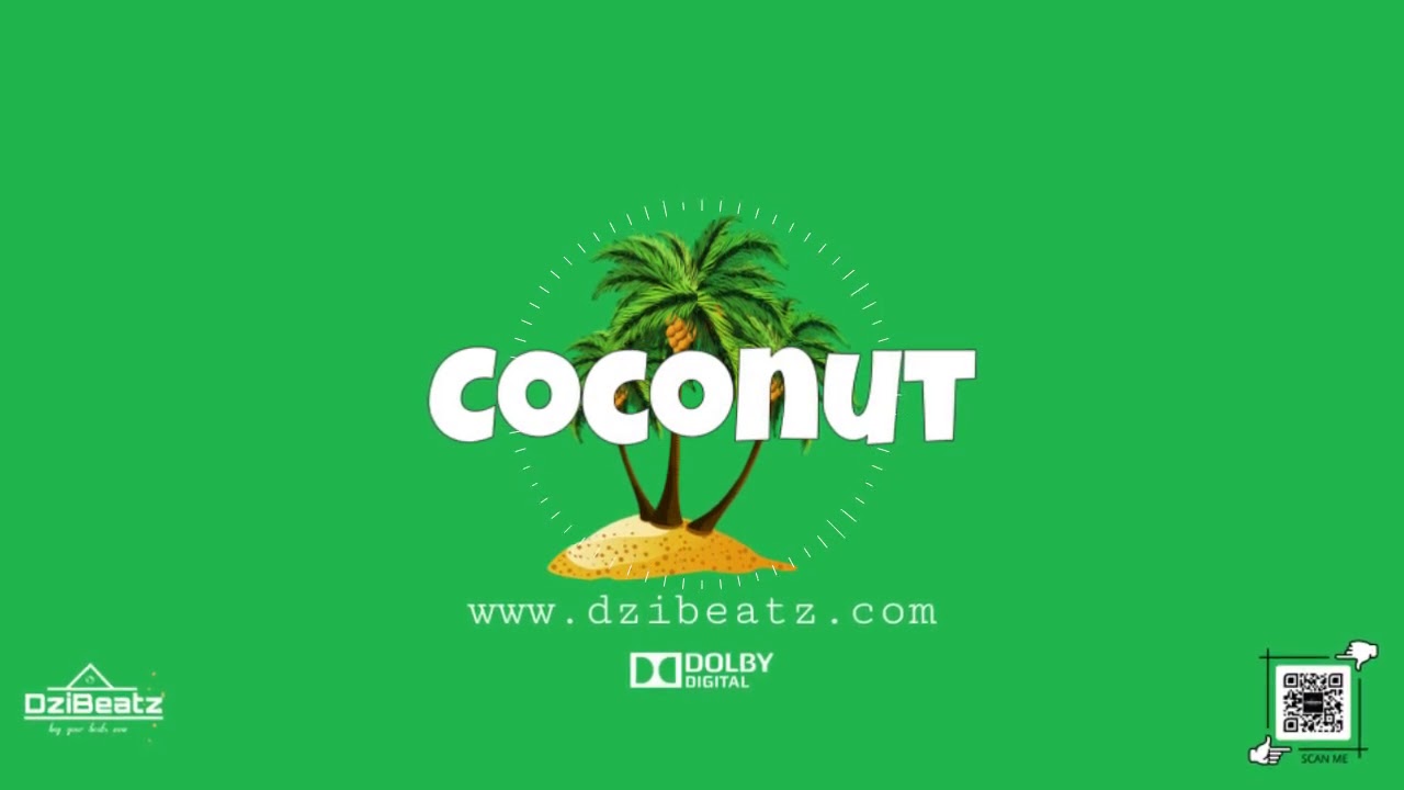 Wizkid ft Skepta Type beat x Afrobeat Instrumental 