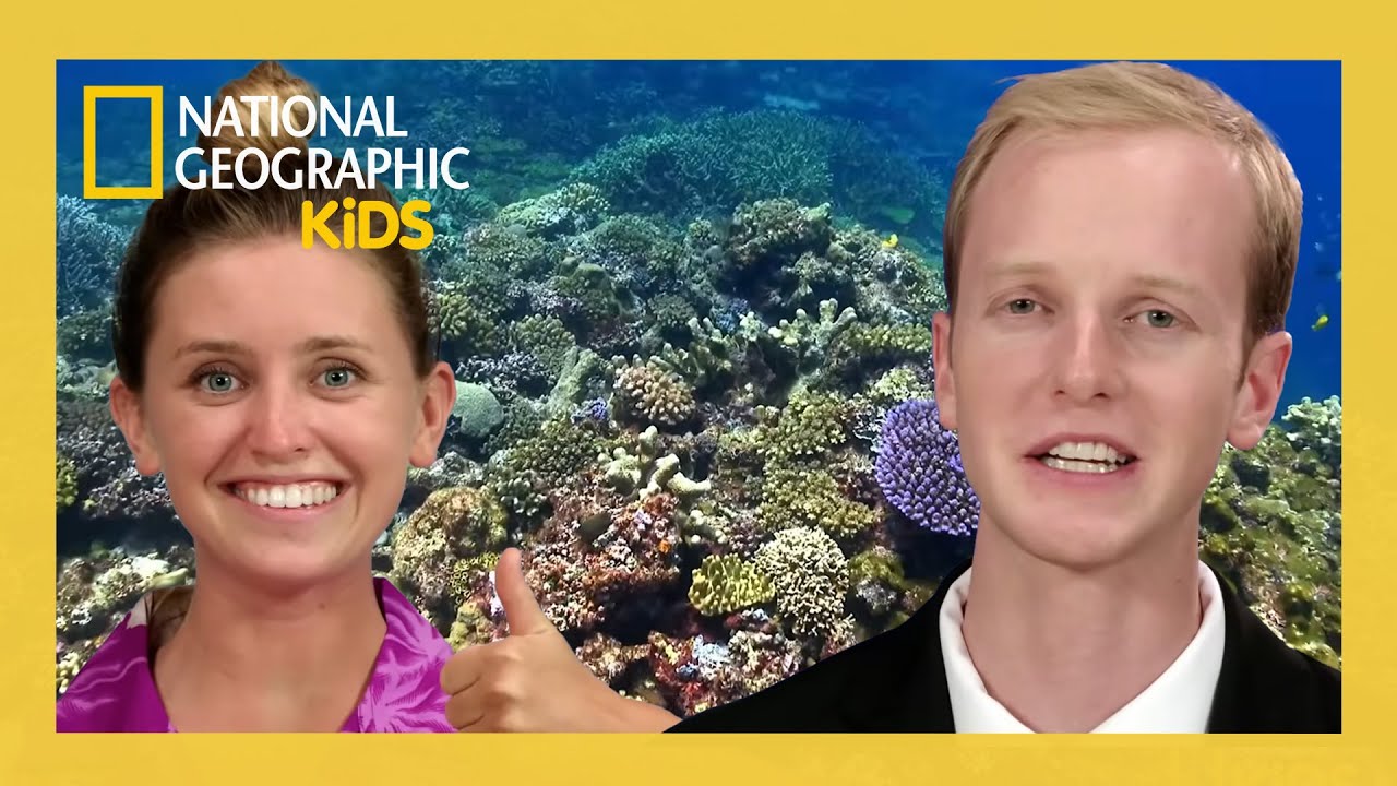 Coral Reef Crazy | Weird But True Full Episode | ‪@natgeokids