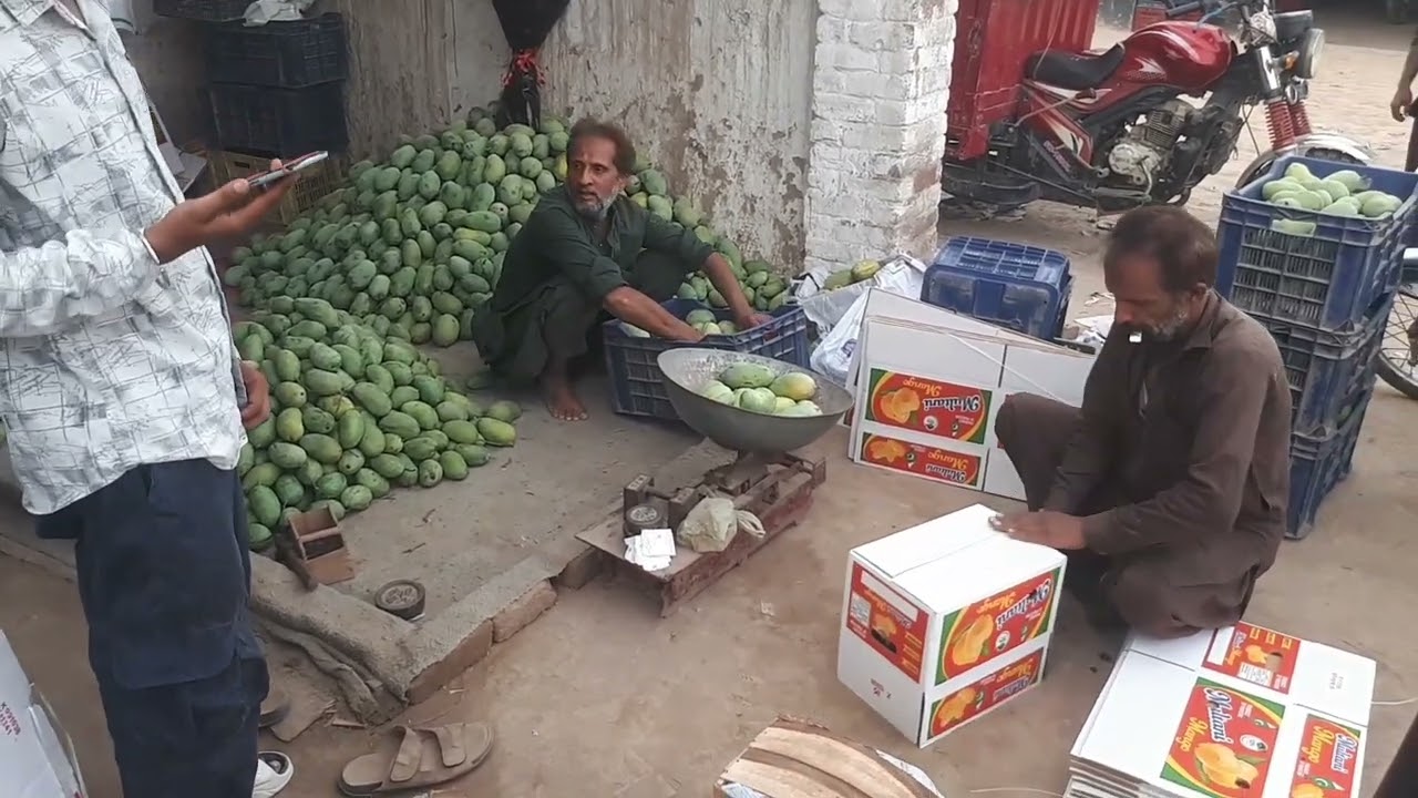 Mango Market | White Chaunsa Rates | Mangoes Rates Updates 