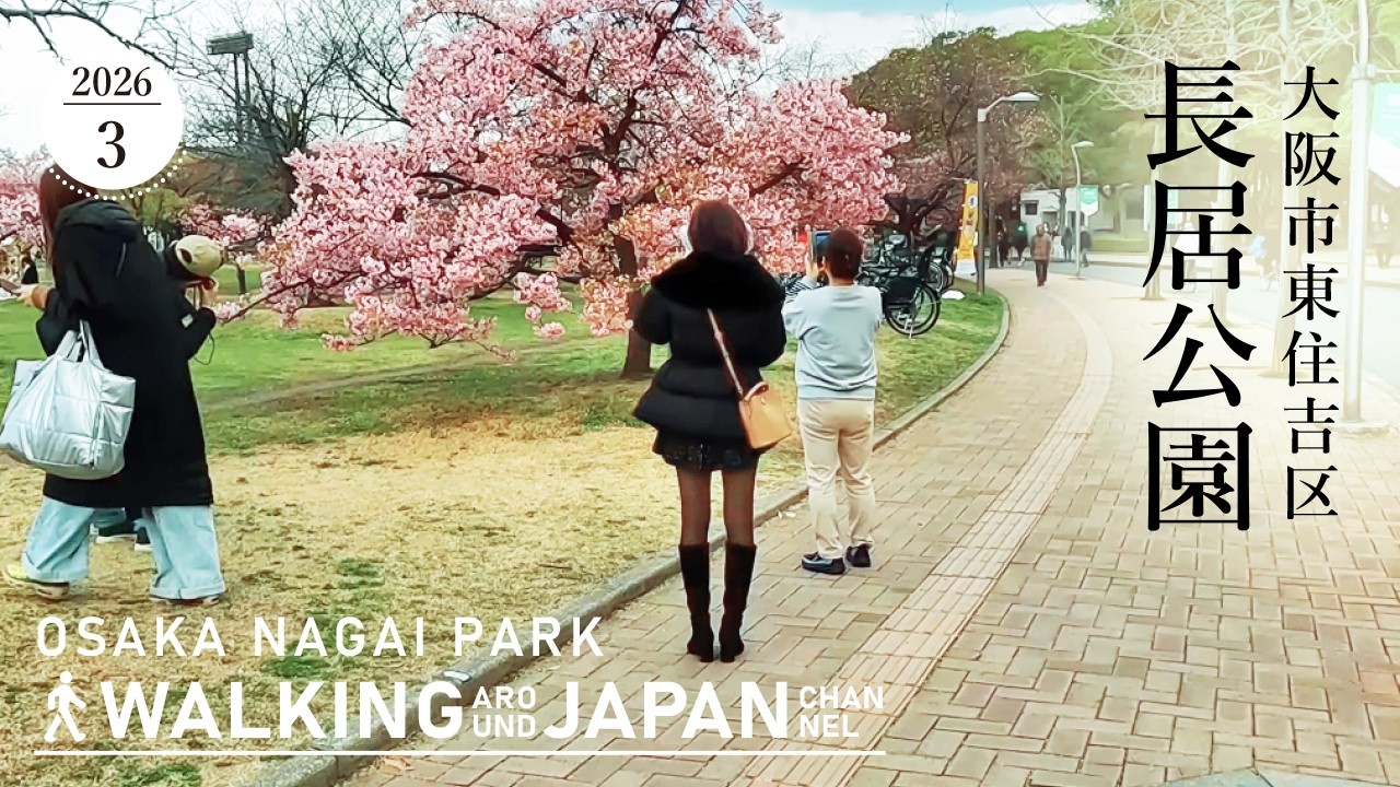 【4K/大阪散歩】大阪市東住吉区長居公園を街歩き Walking around Nagai Park,Osaka,Japan,2026