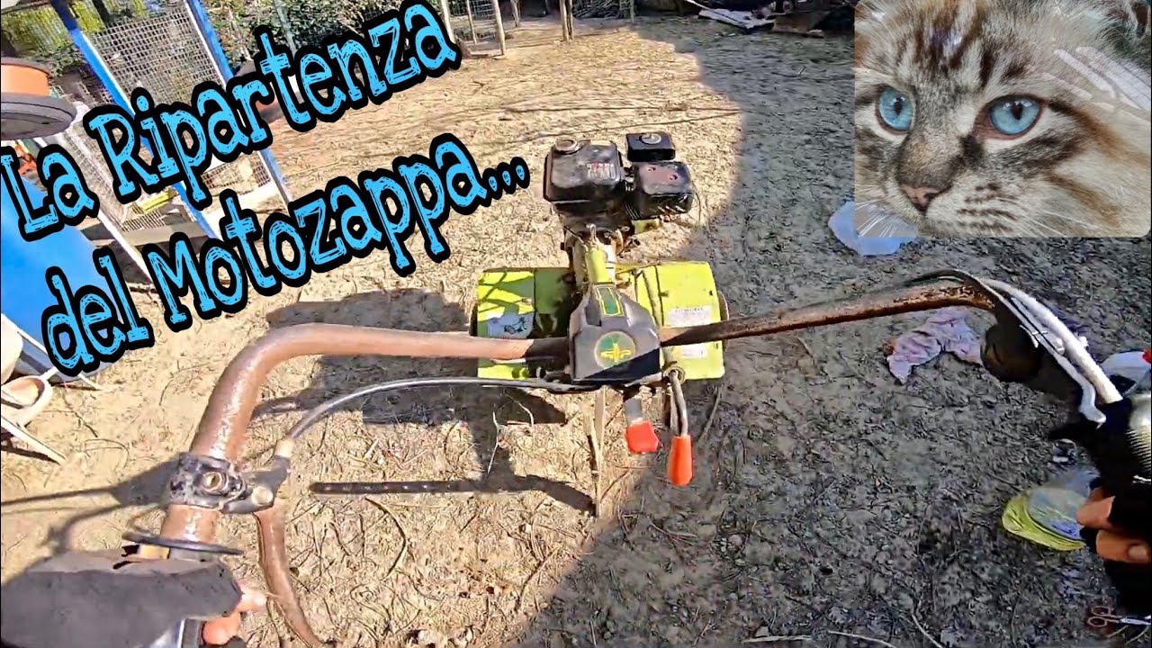 MOTOZAPPA NON PARTE - PULIZIA CARBURATORE E FILTRO ARIA - CARBURETOR AND AIR FILTER CLEANING