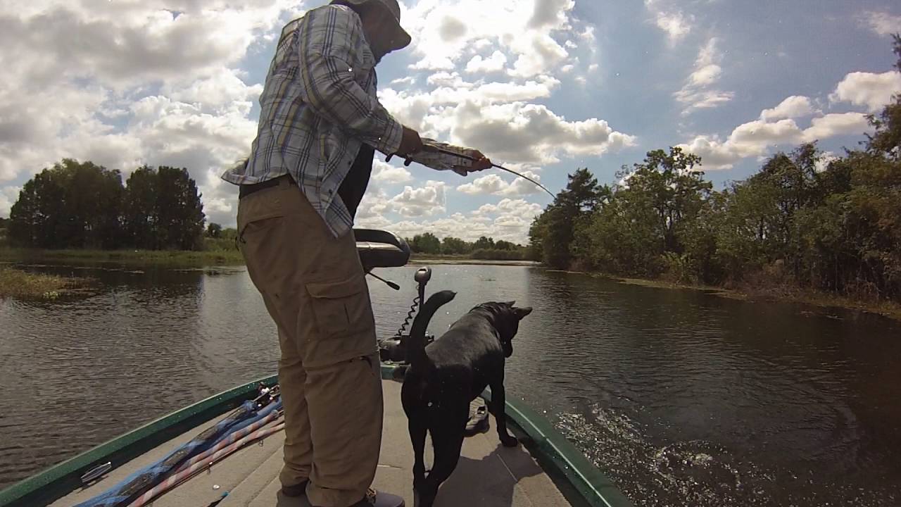 SHELDON RESERVOIR - 15OCT16 - NITRO BOAT - GOPRO - CHATERBAIT - SUBLIME