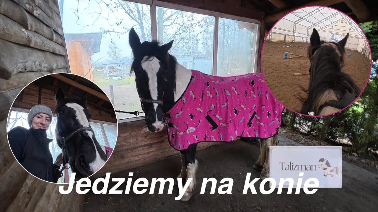 Jedziemy na konie: liczenie do przeszkód