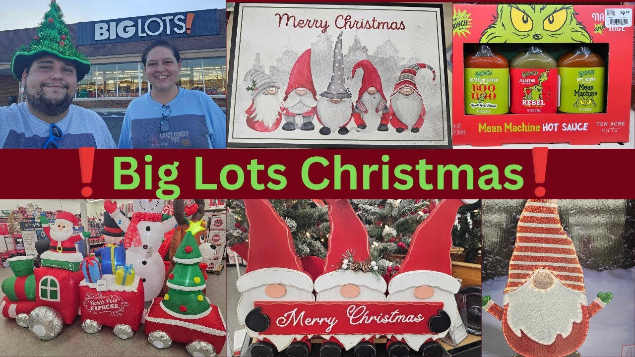 Hilarious Christmas Decorations Shopping at Big Lots 2023