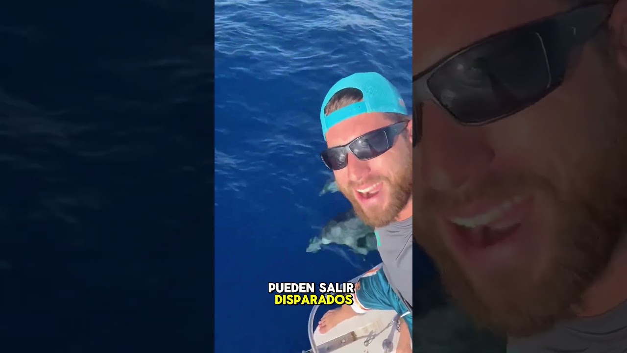 🌊🐬 Dolphins Aren&rsquo;t Playing &mdash; They&rsquo;re Saving Energy#ScienceTok #AnimalBehavior#usa