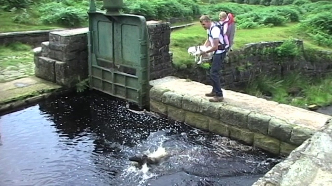 White Coppice
