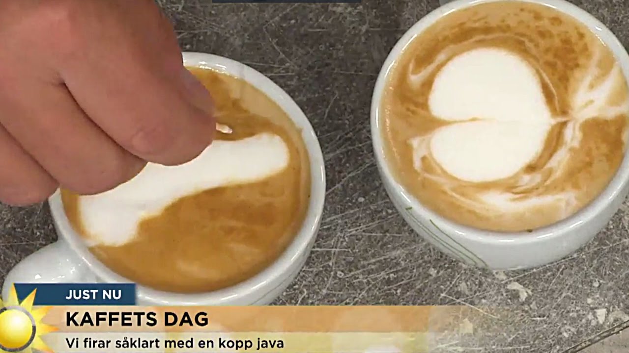 Jenny och Steffo bryter ihop över ekivokt kaffe - Nyhetsmorgon (TV4)