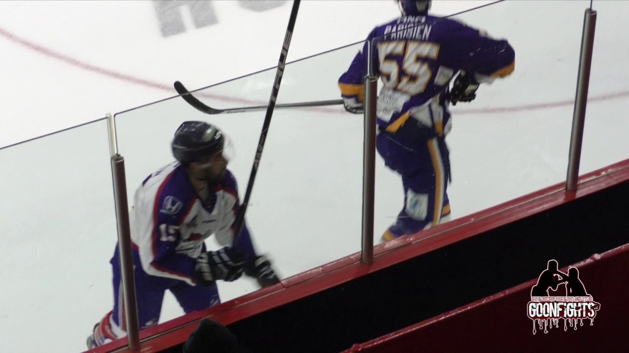 Video Montage  20 Jan  2017 Blizzard Vs Predateurs LNAH