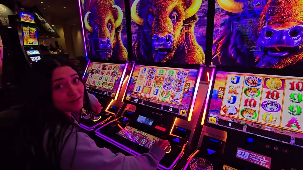 Y aquí esta Diana de nuebo en el casino tratando de ganar pero oy le fue mal