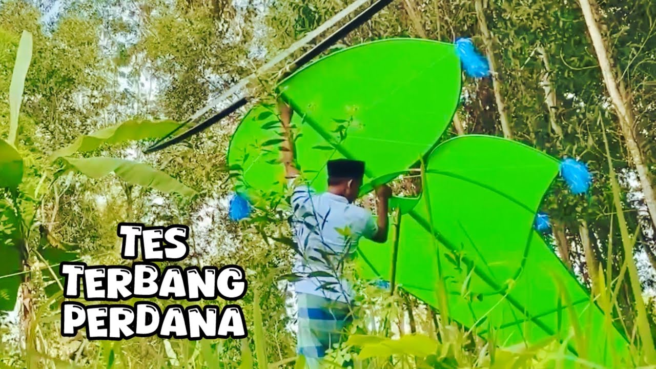 Tes Terbang Perdana Layangan Kak Sekaan #layanganmadura ###layangan 