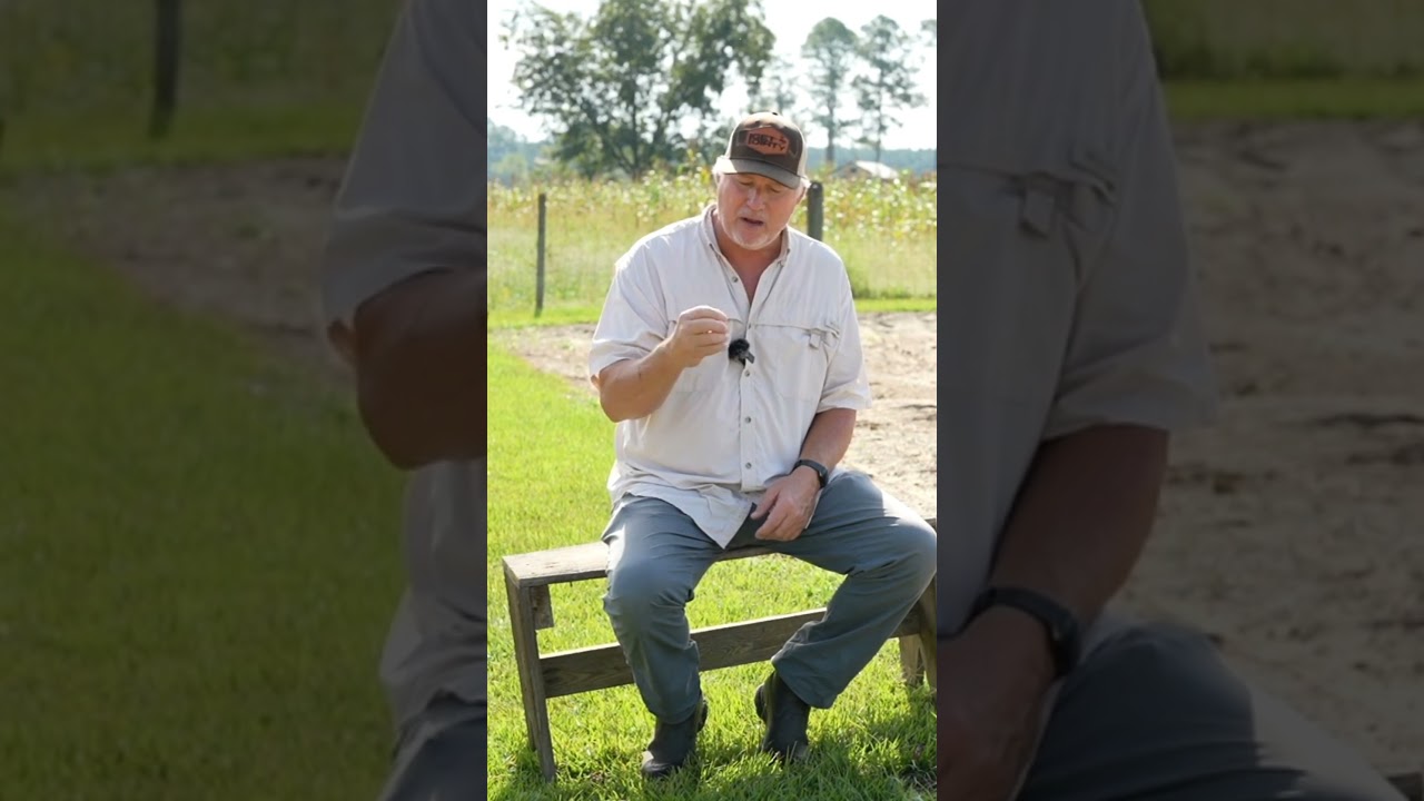 Cool Season Cover Crops YOU Should Be Planting Now!