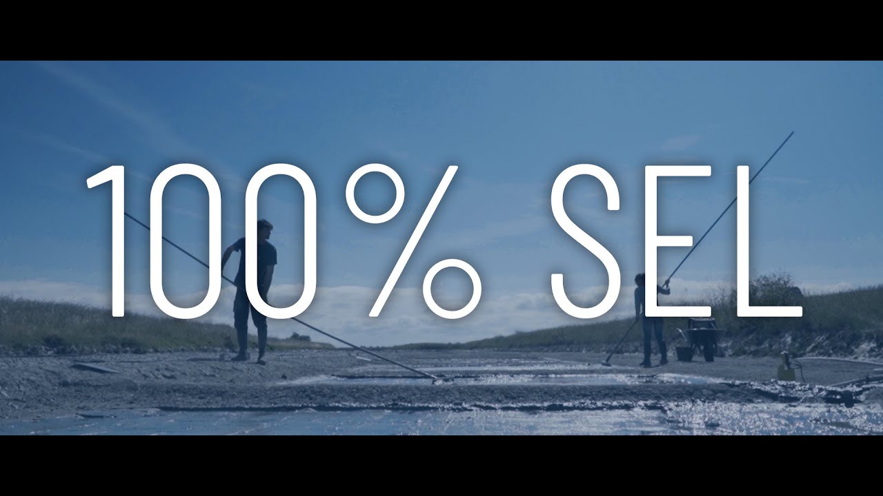 100% SEL