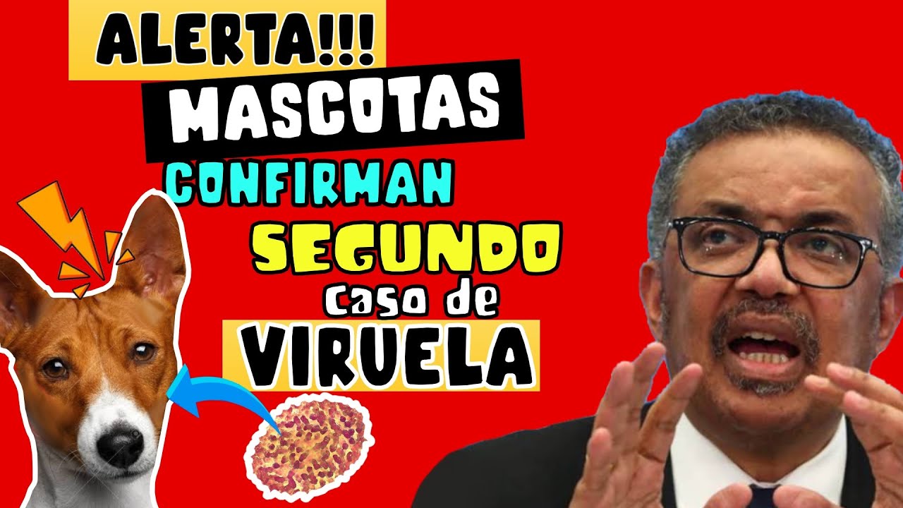 ALERTA  ⚠️ CONFIRMAN SEGUNDO CASO DE VIRUELA DEL MONO EN PERROS - BRASIL REPORTA CASO 😱😱😱