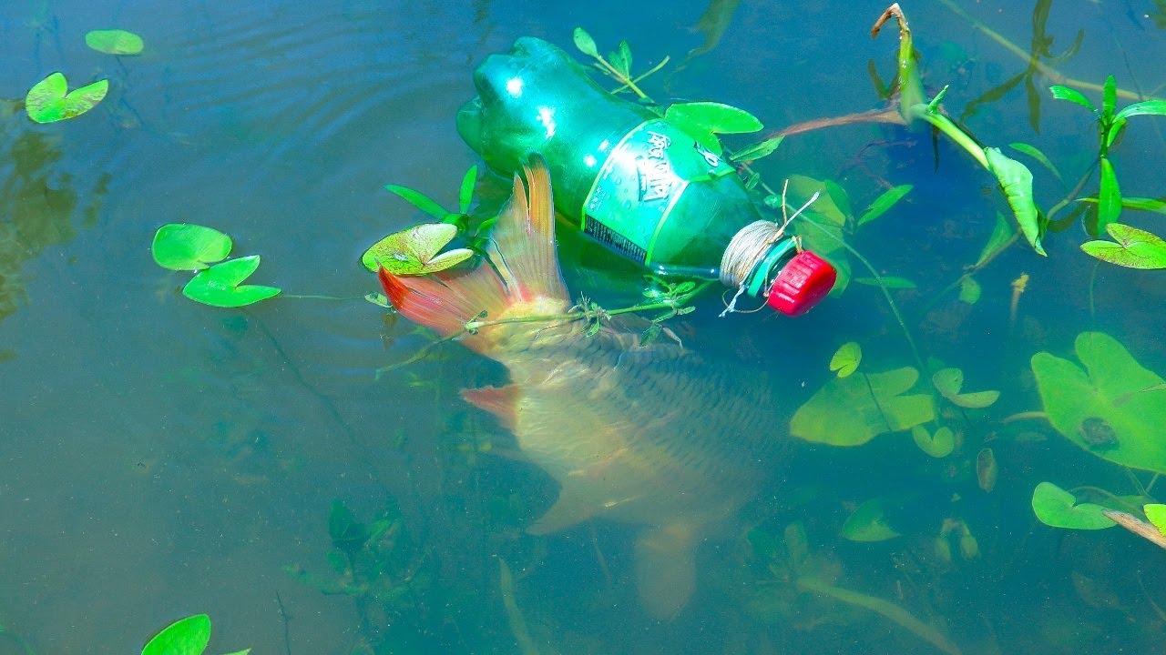 Unique Fish Trap By Plastic Bottle And Hook. Best Hook Fishing Trap.