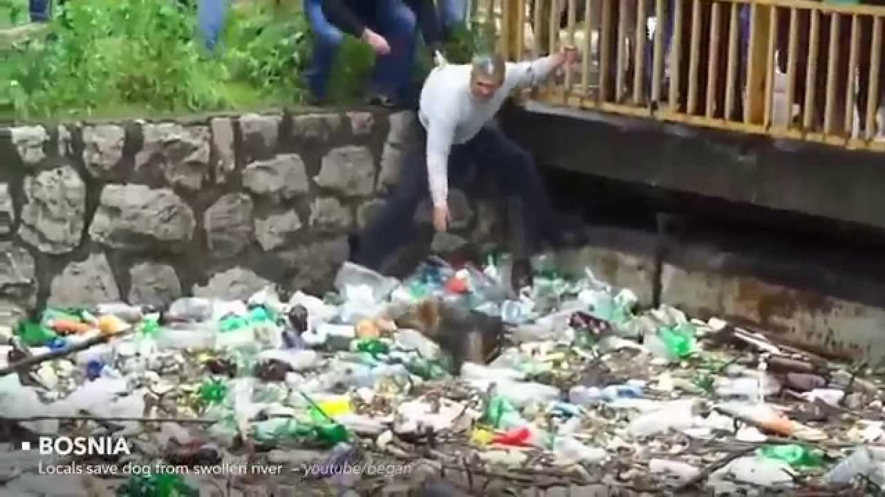 Vid&eacute;o touchante, la bont&eacute; de l&rsquo;homme et gestes humanitaires
