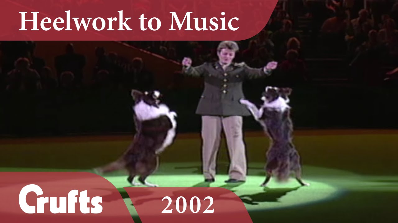 Heelwork To Music - Mary Ray's 2002 Performance | Crufts Dog Show