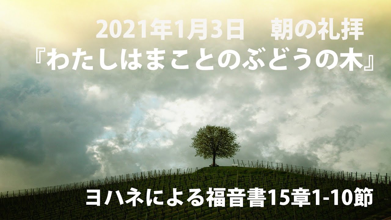 『わたしはまことのぶどうの木』ヨハネによる福音書15章1-10節～2021年1月3日朝の礼拝より　大場康司牧師